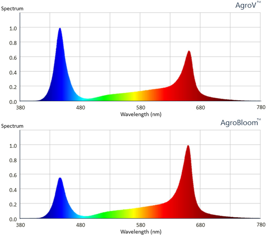 Agrolighting AgroBloom and AgroV spectrum