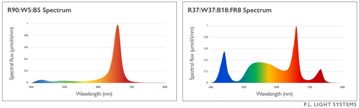 PL Light Systems ParFX BalensBeam